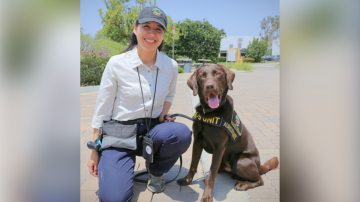 an orange county public works employee kneeling next to a brown inspection dog