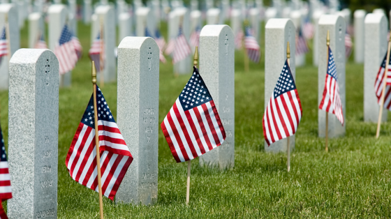 a row of flags in a cemetery