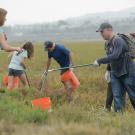 Coastal Cleanup Day